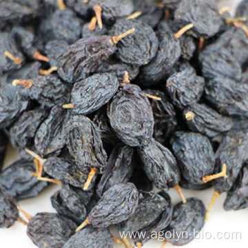 Sweet Taste Black Raisins Dried Grapes Seedless Raisin